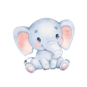 Daxiang , 大象好用翻墙加速器