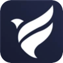 Feiniao , 翱翔的鸟类好用翻墙加速器